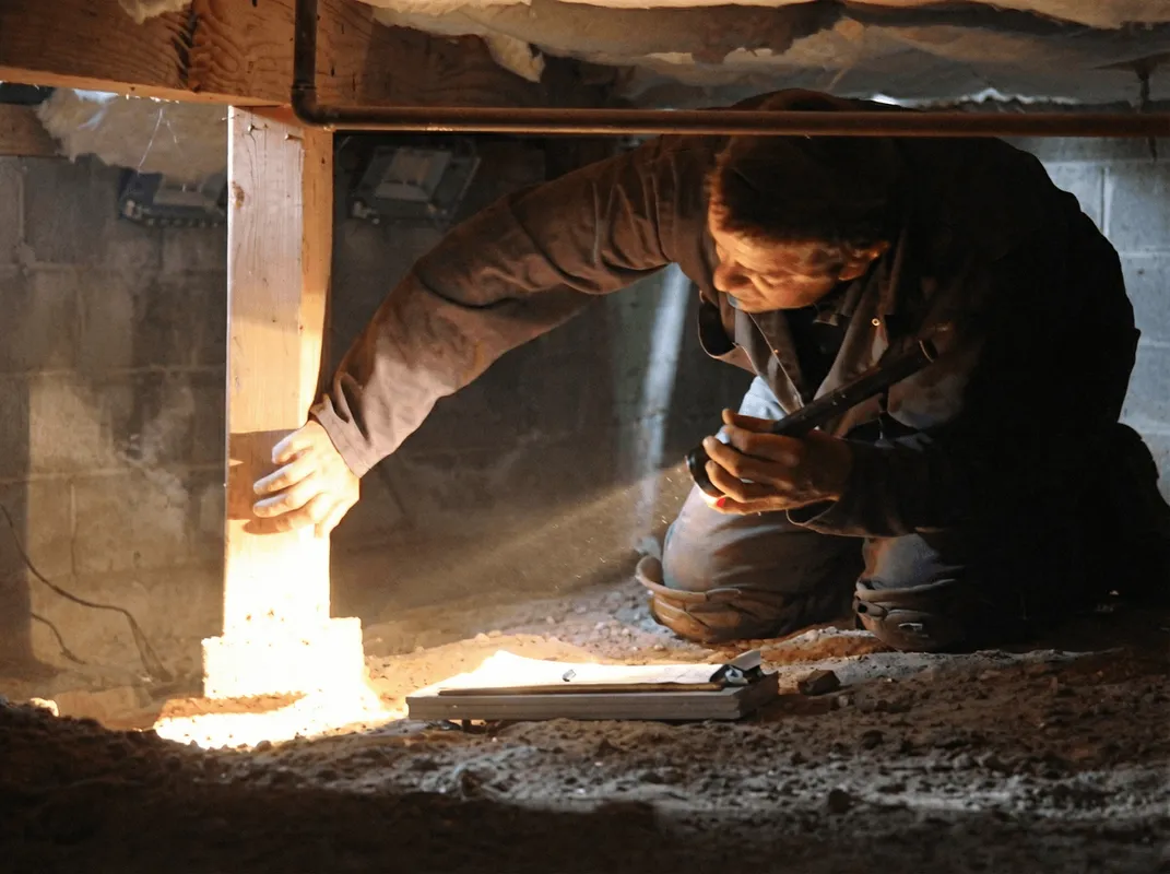 A professional inspecting wooden beams under the floor of a structure in Fresno, CA